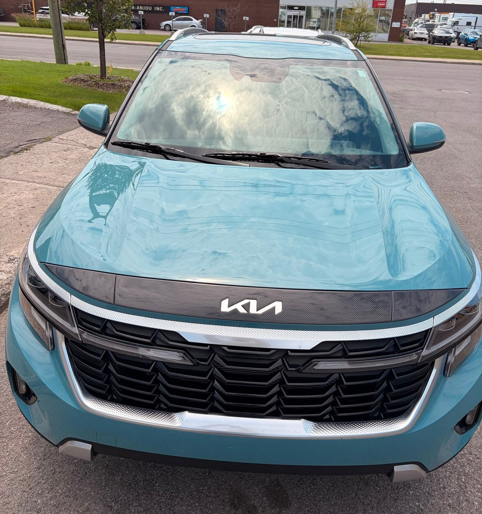 Hood Protector for 2022-2026 Kia Seltos (Cut-Out) — 8