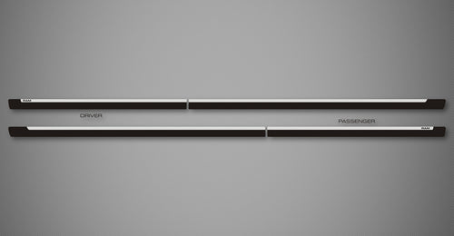 Azure C Body Side Moldings for 2011-2018 Ram 1500 (Quad Cab)
