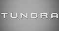 Tailgate Logo for 2014-2021 Toyota Tundra (Double Cab)