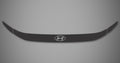 Hood Protector for 2026 Hyundai Ioniq 9