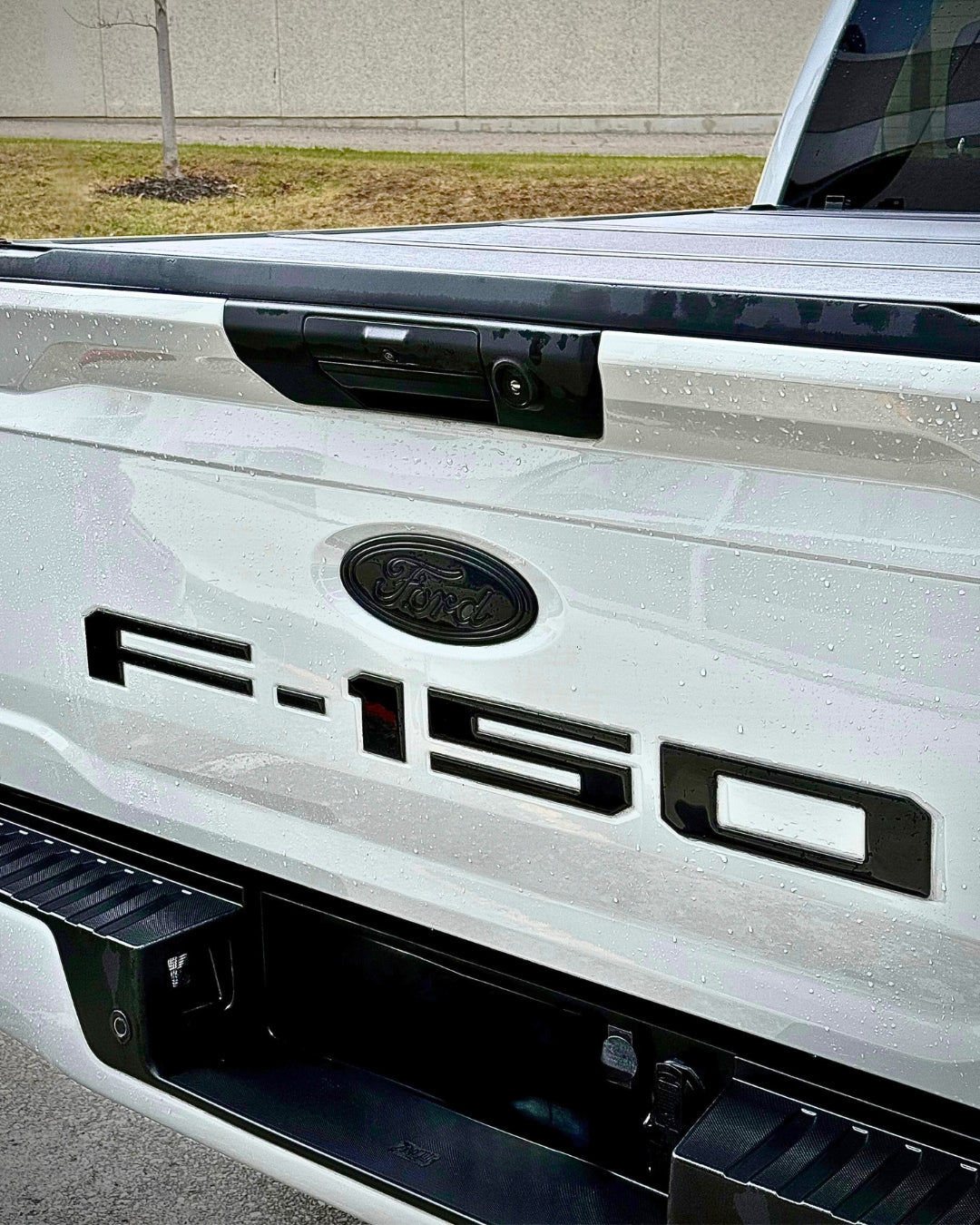 Tailgate Logo for 2021-2026 Ford F-150 (Regular Cab) — 3