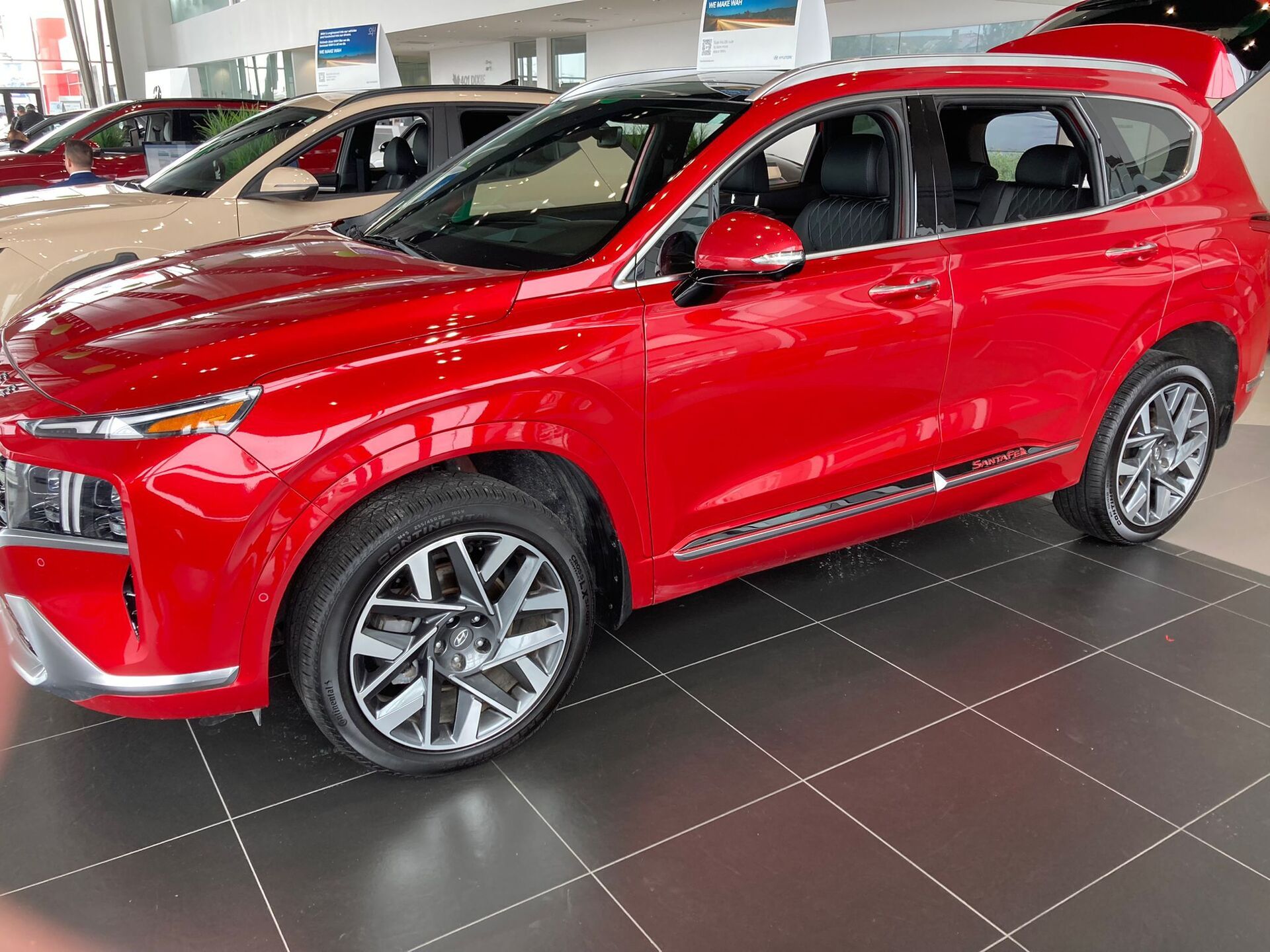 Rocker Trims (2Tone) for 2019-2023 Hyundai Santa Fe — 8