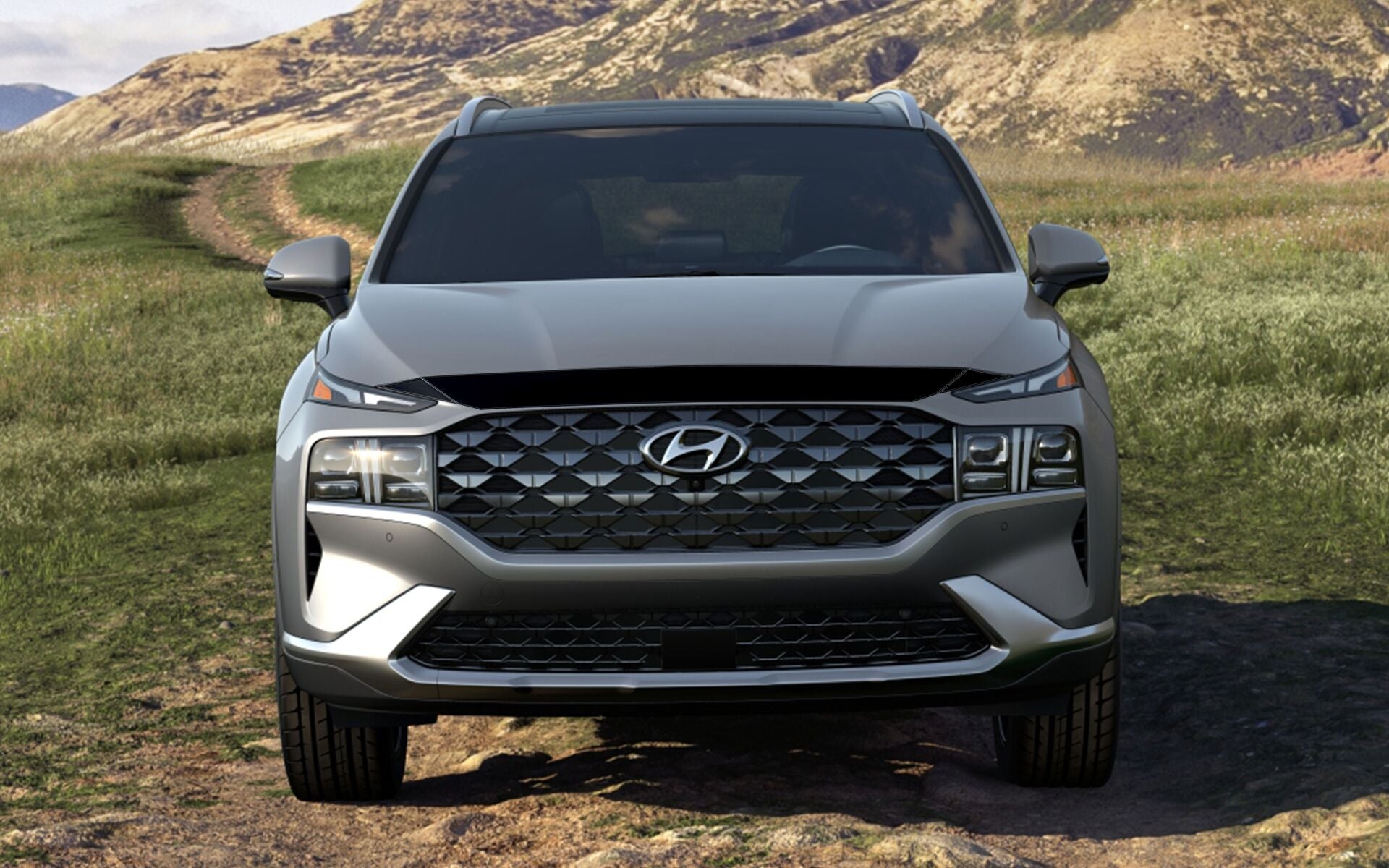 Hood Protector for 2021-2023 Hyundai Santa Fe — 4