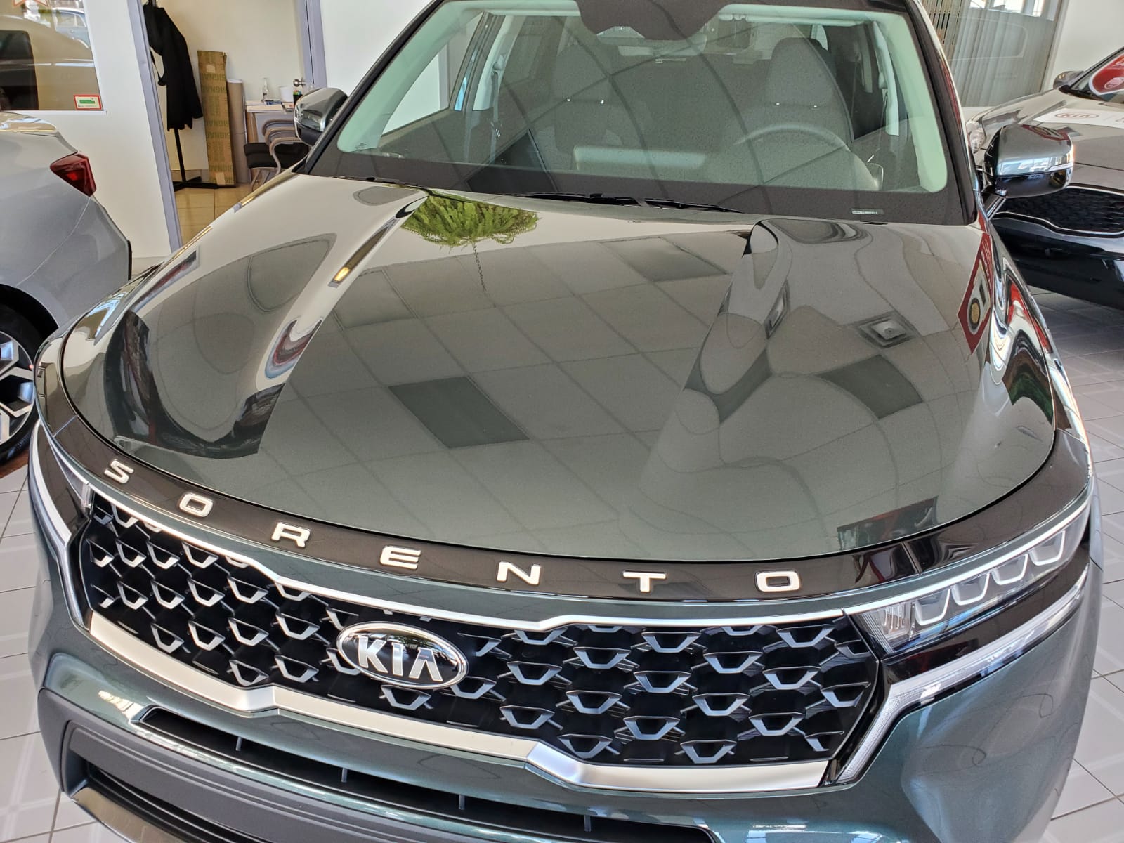Hood Protector w/ Logo for 2021-2023 Kia Sorento — 3