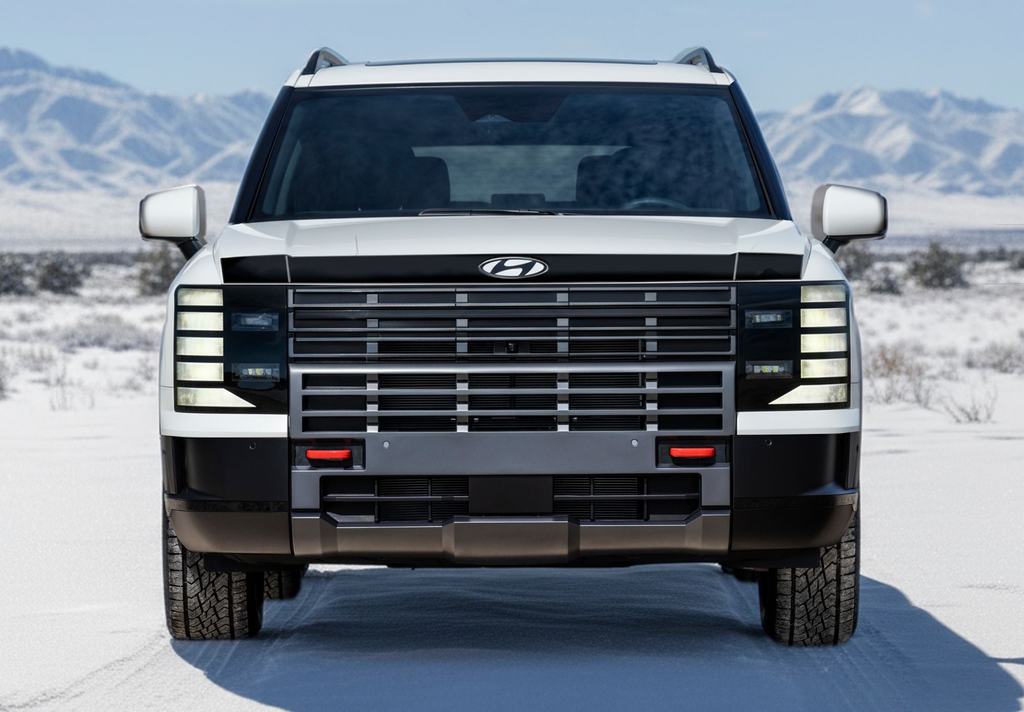 Hood Protector for 2026 Hyundai Palisade — 2