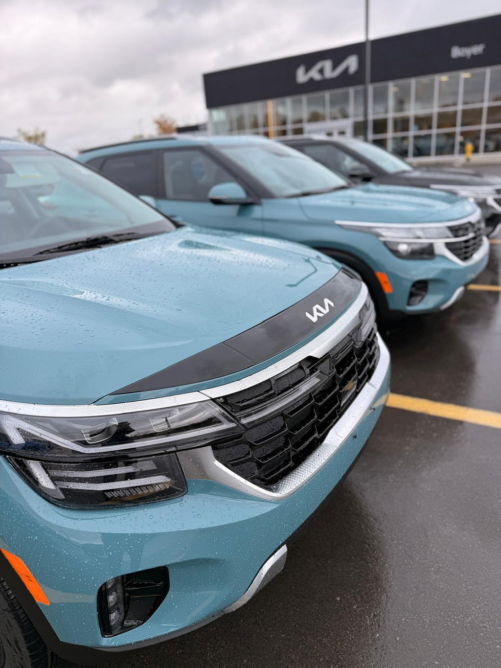 Hood Protector for 2022-2026 Kia Seltos (Cut-Out) — 3